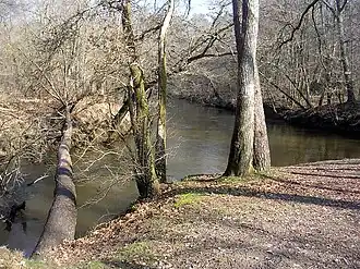 Confluence of the Grande and Petit Leyre at Moustey