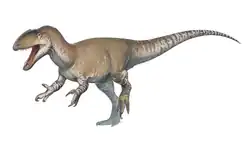 Neovenator salerii