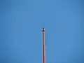 Pinnacle of the mast.