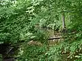 Nine Mile Run at Cortelyous Road, just before its mouth