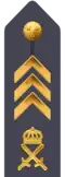 Army m/87