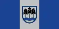 Flag of Ogre Municipality