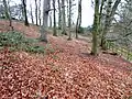 One Barrow Plantation
