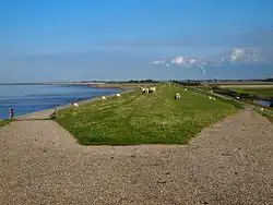On the causeway