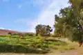 Forested area surrounding the town
