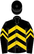 Black with gold chevron