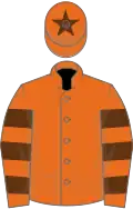 Orange, brown hooped sleeves, star on cap