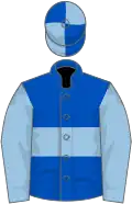 Royal blue, light blue hoop and sleeves, quartered cap