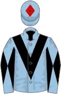 Light blue, black chevron, light blue sleeves, black diabolo, light blue cap, red diamond