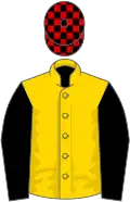 Gold, black sleeves, black and red check cap