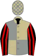 Beige and grey quartered, black and red striped sleeves, beige and grey check cap