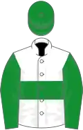 White, green hoop, sleeves and cap