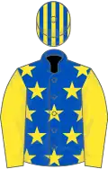 Royal blue, yellow stars, yellow sleeves, striped cap