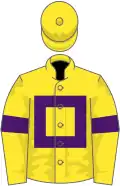 Yellow, purple hollow box and armlets