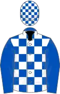 Royal blue and white check, royal blue sleeves