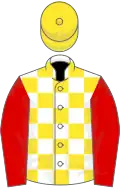 White and yellow check, red sleeves, yellow cap