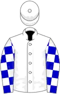 White, blue and white checked sleeves, white, blue and black quartered cap