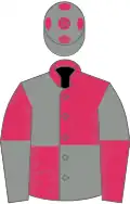 Grey and Cherry quartered, halved sleeves, Grey cap, Cherry spots