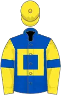 Royal blue, yellow hollow box, yellow sleeves, royal blue armlets, yellow cap