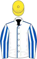 White, royal blue seams, royal blue and white striped sleeves, yellow cap