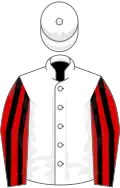 White, red and black striped sleeves
