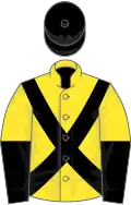 Yellow, Black cross belts, Yellow and Black halved sle ves, Black cap