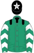 Emerald green, black epaulets, white and black chevrons on sleeves, black cap, white star
