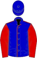 Blue, red seams and sleeves