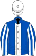 Royal blue, white panel, striped sleeves, white cap