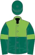 Pale green, dark green hoop, dark green sleeves, pale green armlets, dark green cap