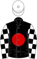 Black, Red disc, Black and White check sleeves, White cap