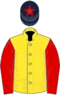 Yellow, red sleeves, dark blue cap, red star