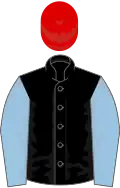 Black, light blue sleeves, red cap