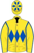 Yellow, royal blue triple diamond, yellow sleeves, royal blue seams, yellow cap, royal blue diamonds