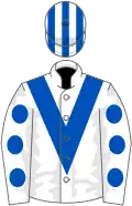 White, royal blue chevron, royal blue spots on sleeves, striped cap