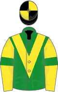 Green, yellow chevron, yellow sleeves, green armlets, black and yellow quartered cap