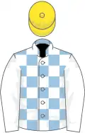 Light Blue and White check, White sleeves, Yellow cap