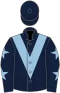 Dark blue, light blue chevron, dark blue sleeves, light blue stars