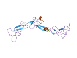2bou: EGF DOMAINS 1,2,5 OF HUMAN EMR2, A 7-TM IMMUNE SYSTEM MOLECULE, IN COMPLEX WITH BARIUM.