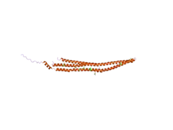 2efl: Crystal structure of the EFC domain of formin-binding protein 17