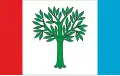 Flag of Braniewo