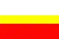 Flag of Mosina