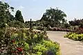 Royal National Rose Society Gardens (2013)