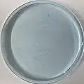 Pattern Formation from Blue Bottle Experiment in Warm Water Bath