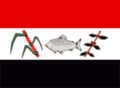 Flag of Pirassununga