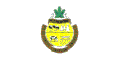 Former flag of Pitt Meadows