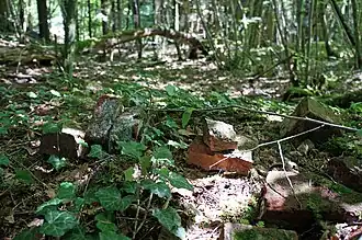 Remains of bricks
