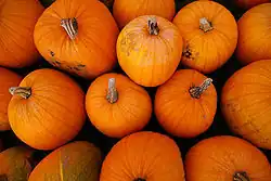 Halloween pumpkins