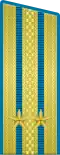 ... Airborne Force, Air Force, Aviation of the Defence Force (1955-1994), and since 2010