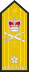 Commodore